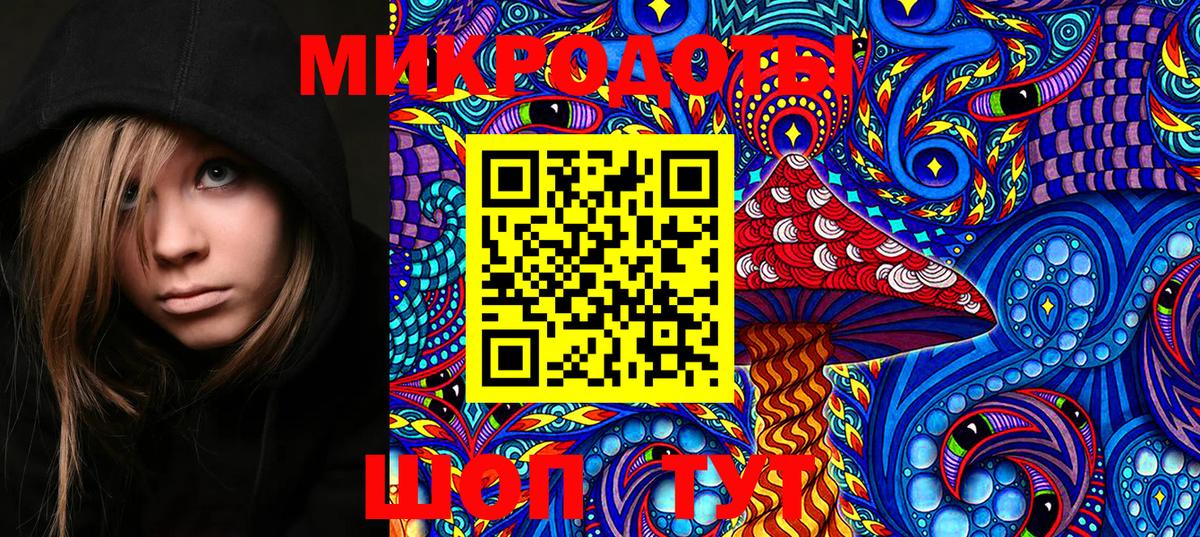 Каменск-Шахтинский  Псилоцибиновые грибы мухоморы  Вход с VPN 